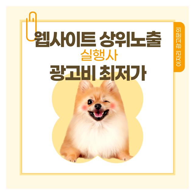 청주강아지분양 웹사이트